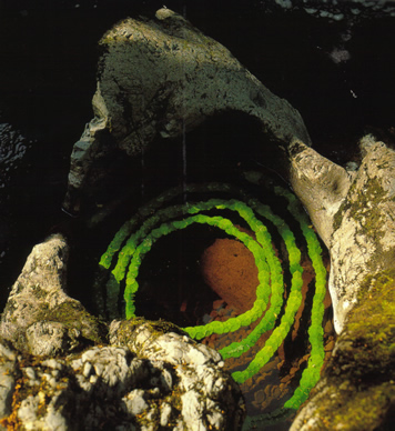 Leaf snake by Andy Goldsworth